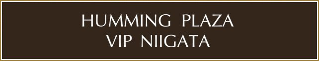 新潟・結婚式場 ハミングプラザVIP（ビップ）